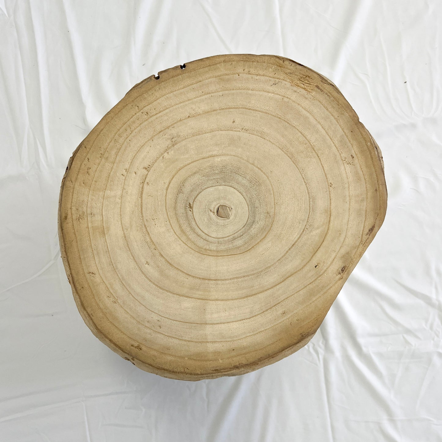 Recycled Elm Log