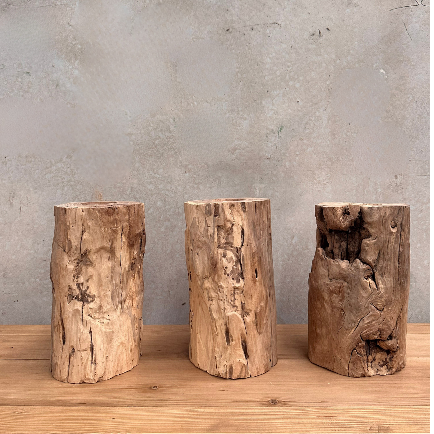 Elm Root Vase