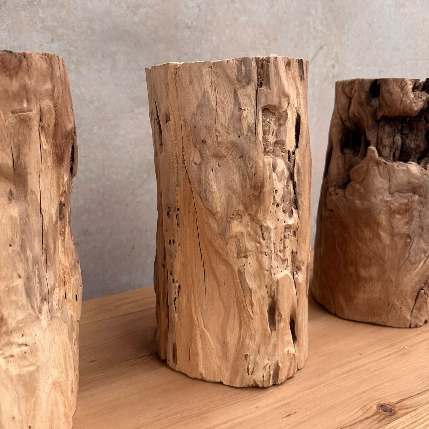 Elm Root Vase