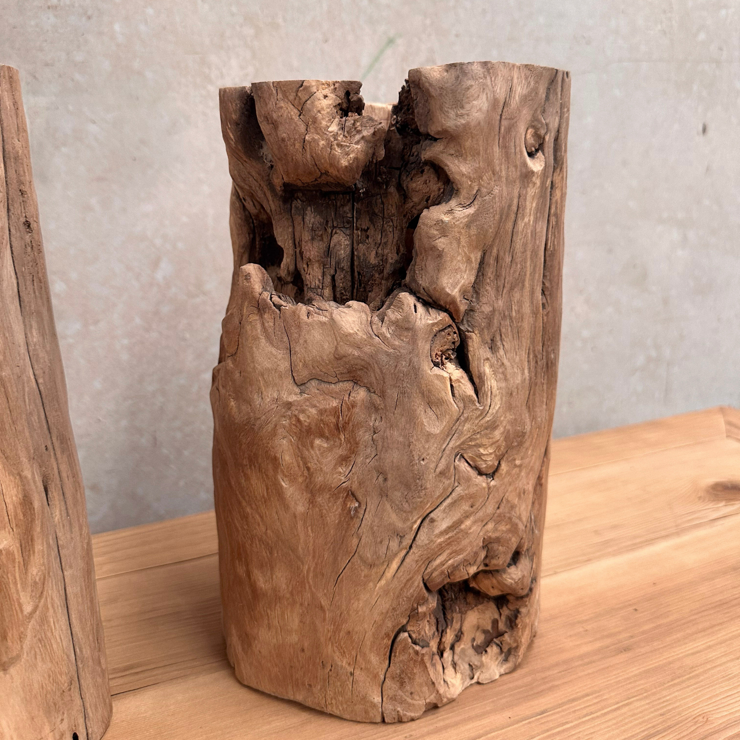 Elm Root Vase
