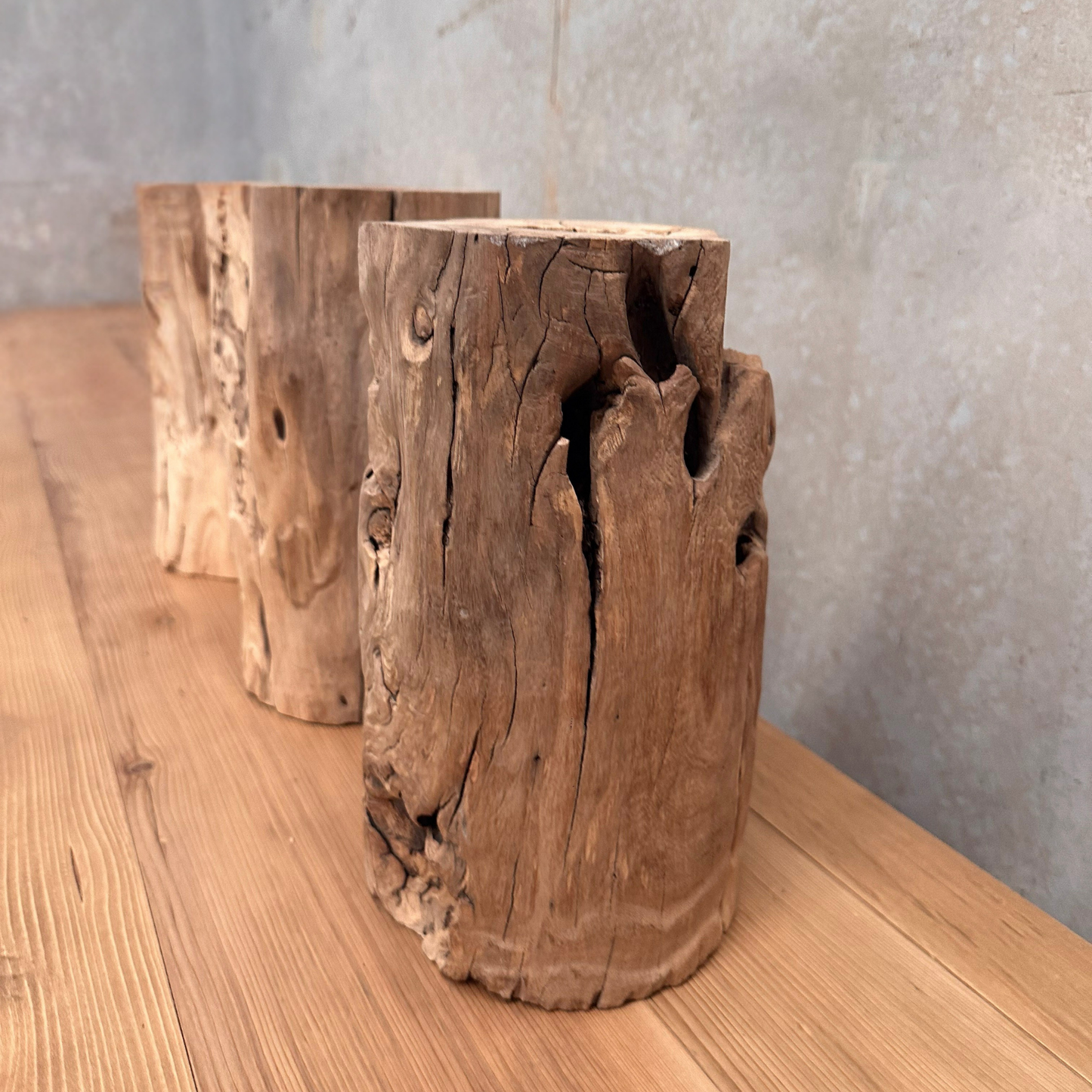 Elm Root Vase