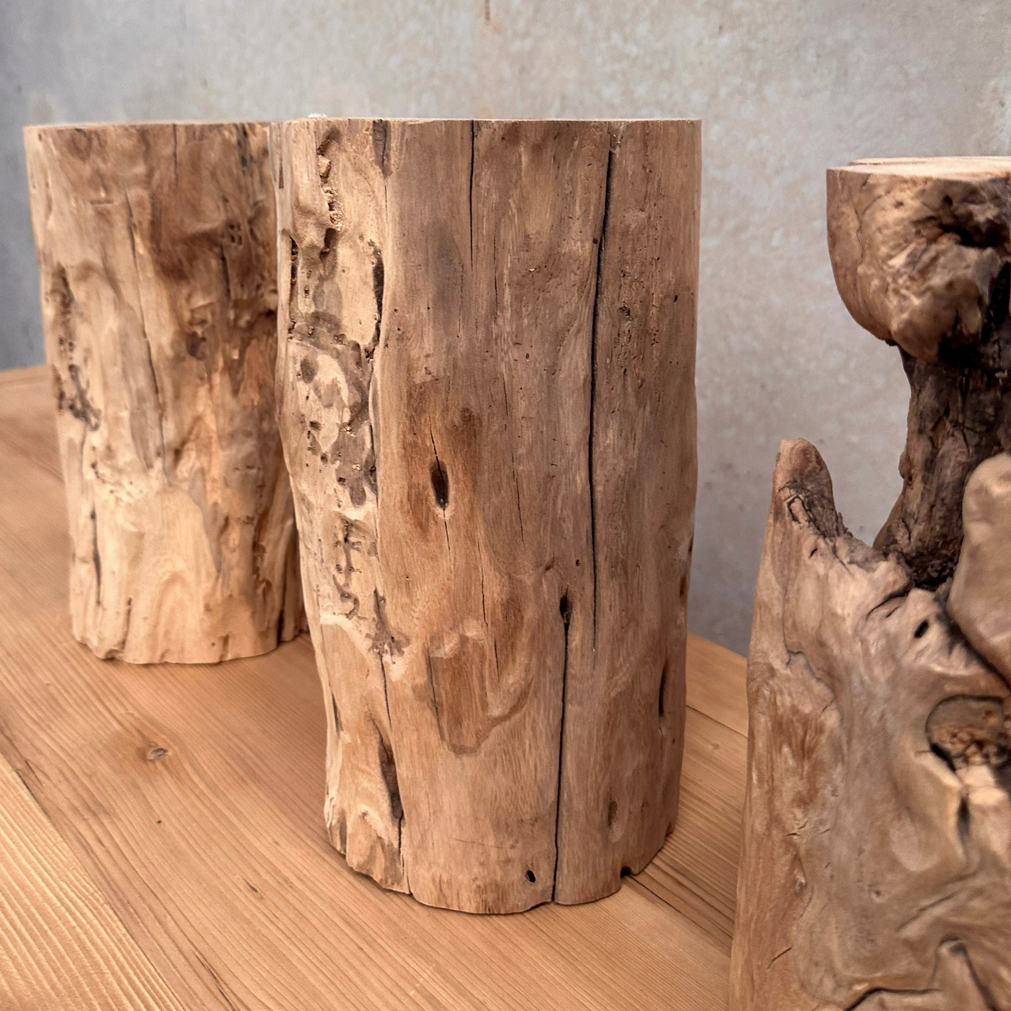 Elm Root Vase