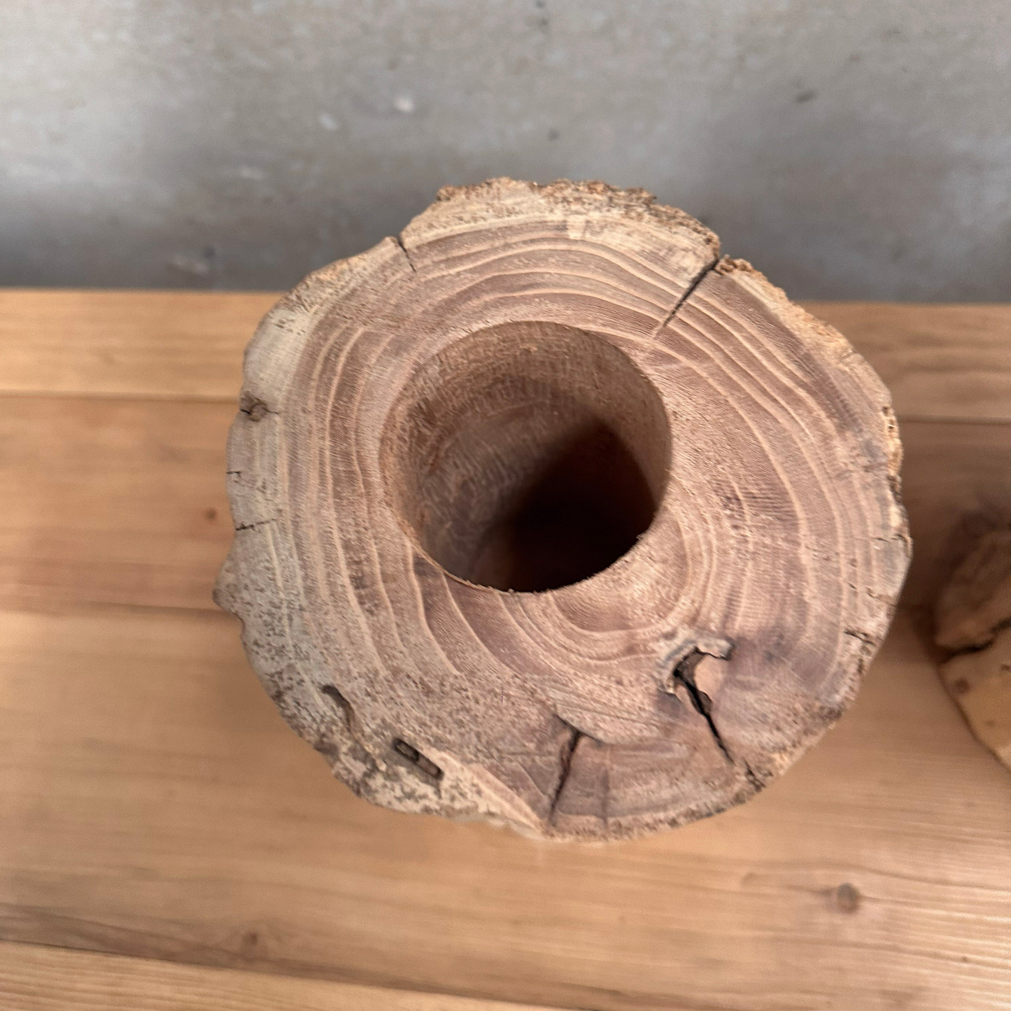 Elm Root Vase