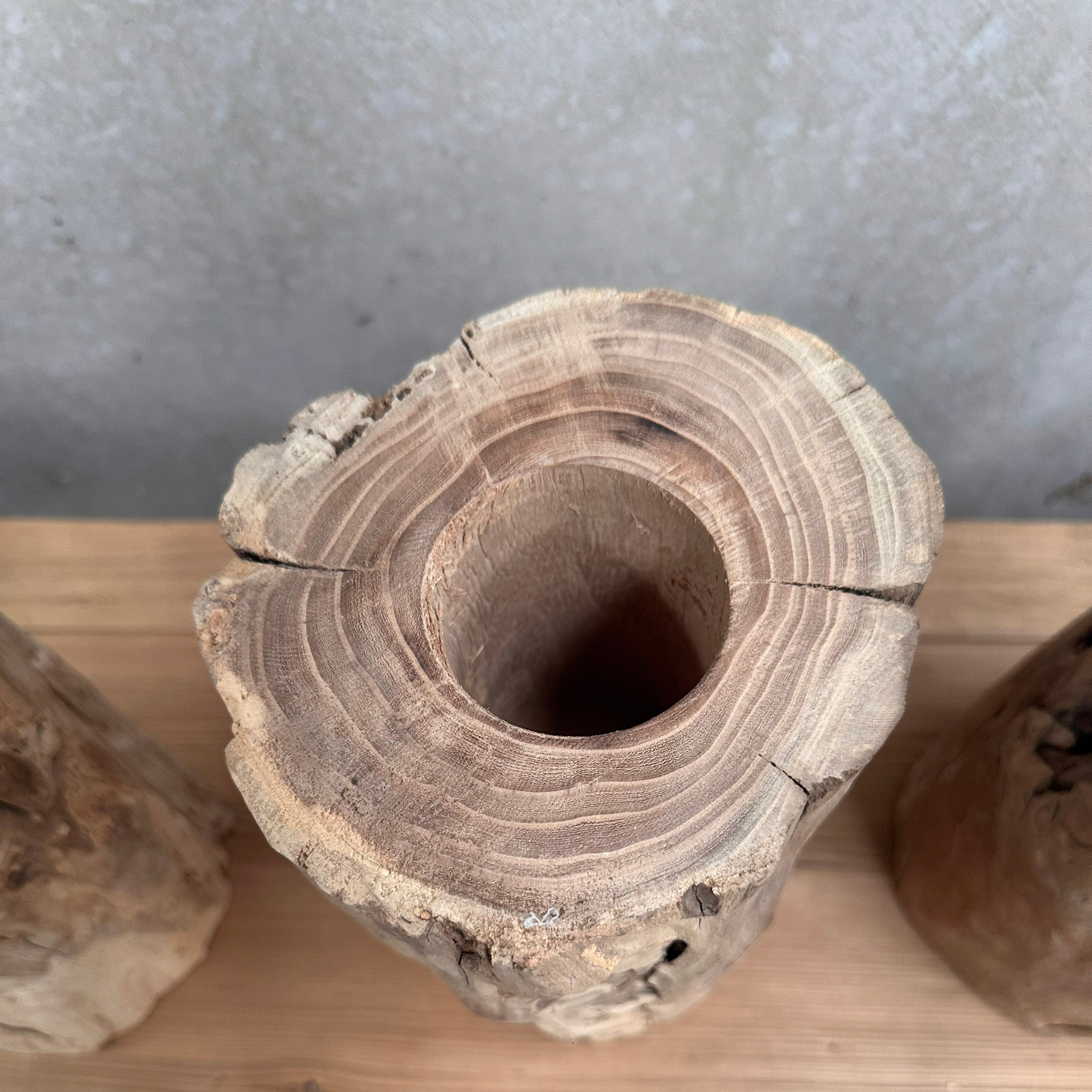 Elm Root Vase