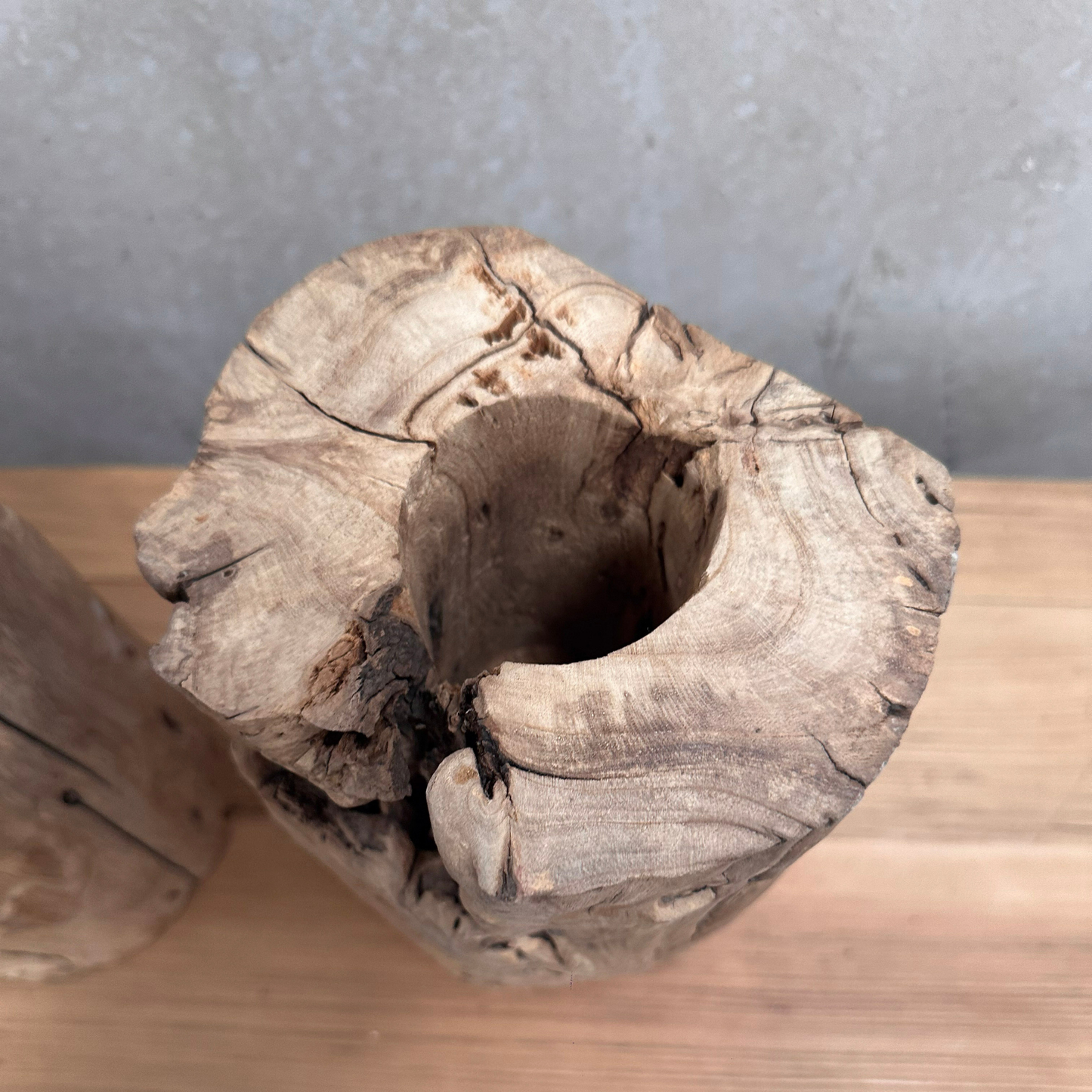 Elm Root Vase