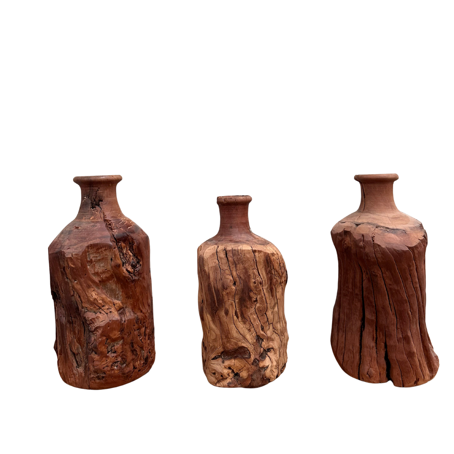 Date Root Vase