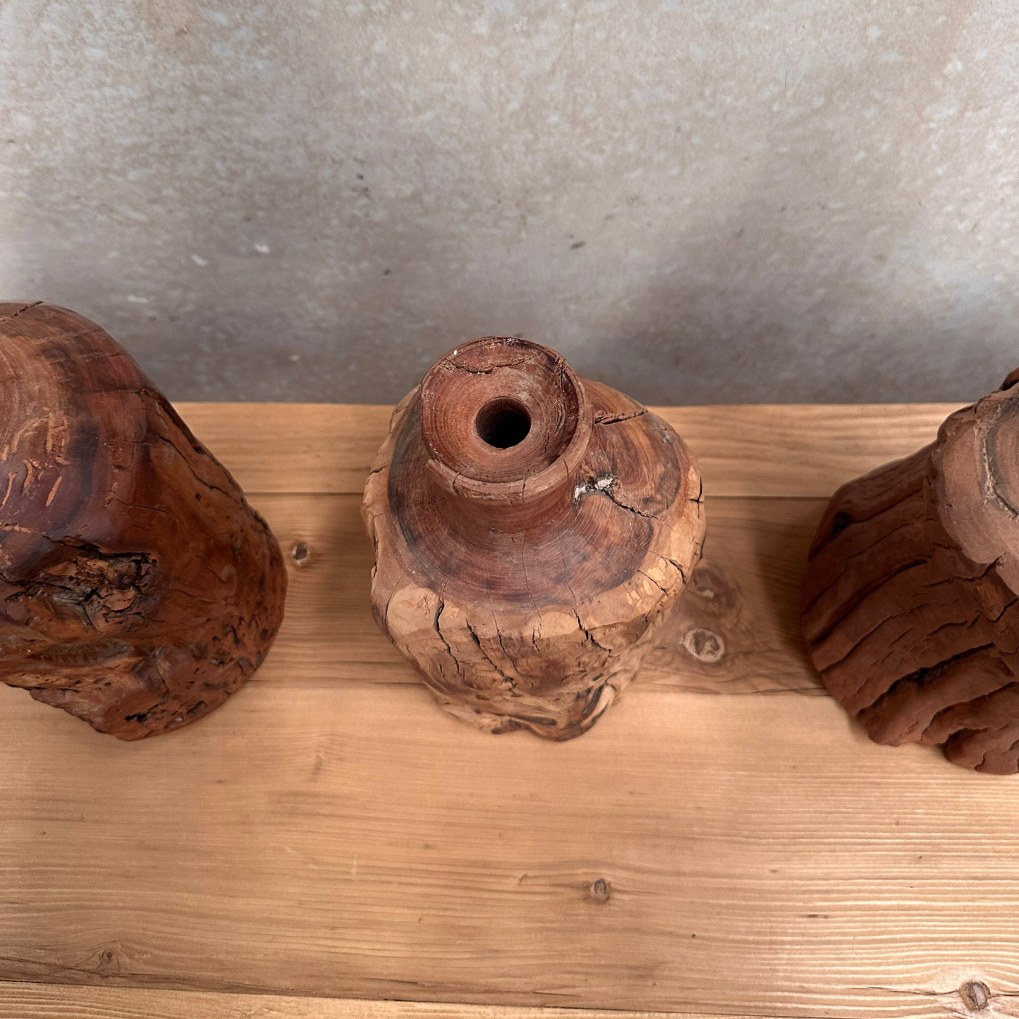 Date Root Vase