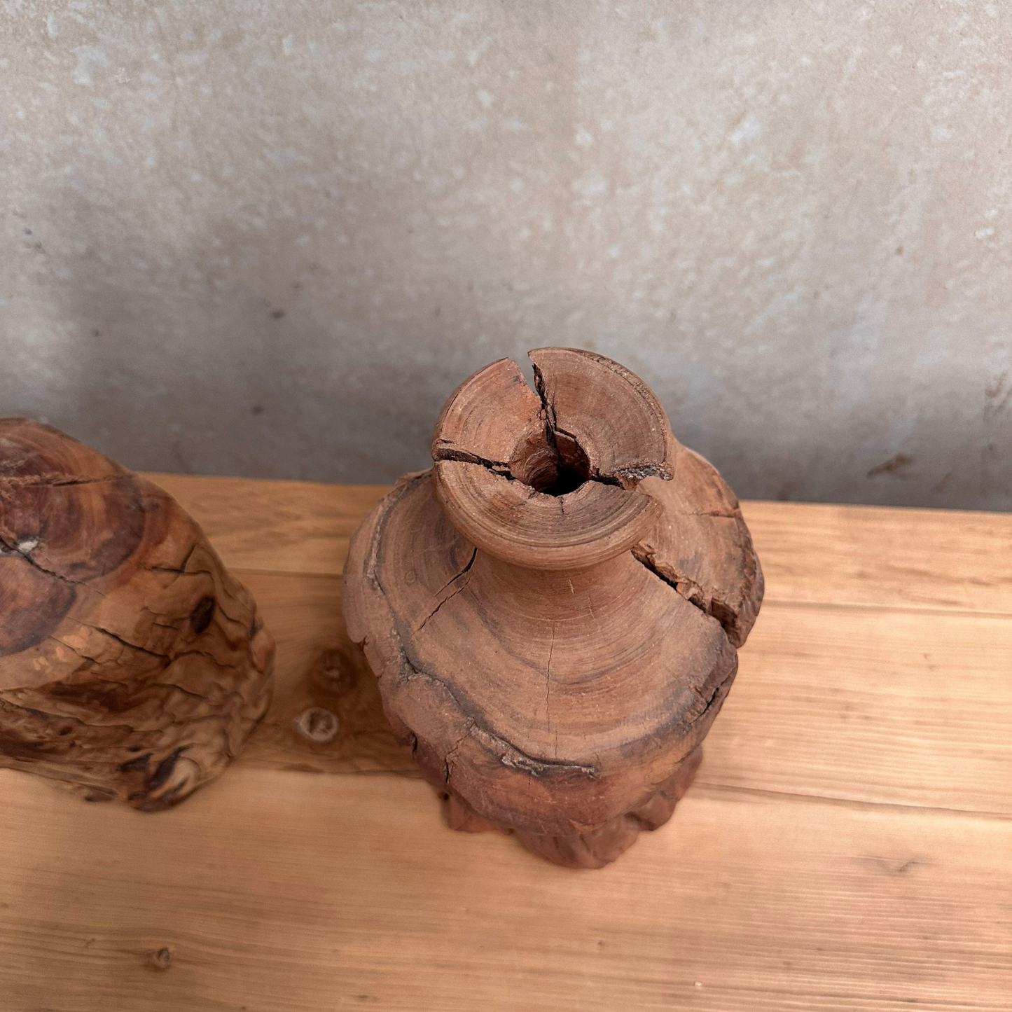 Date Root Vase