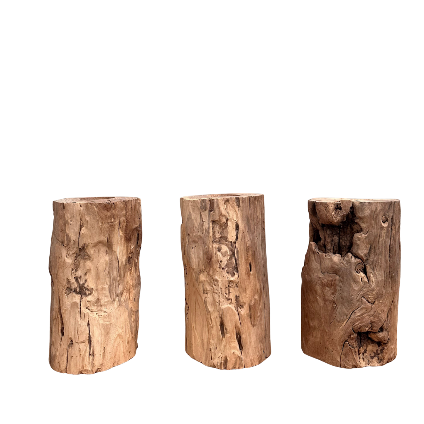 Elm Root Vase