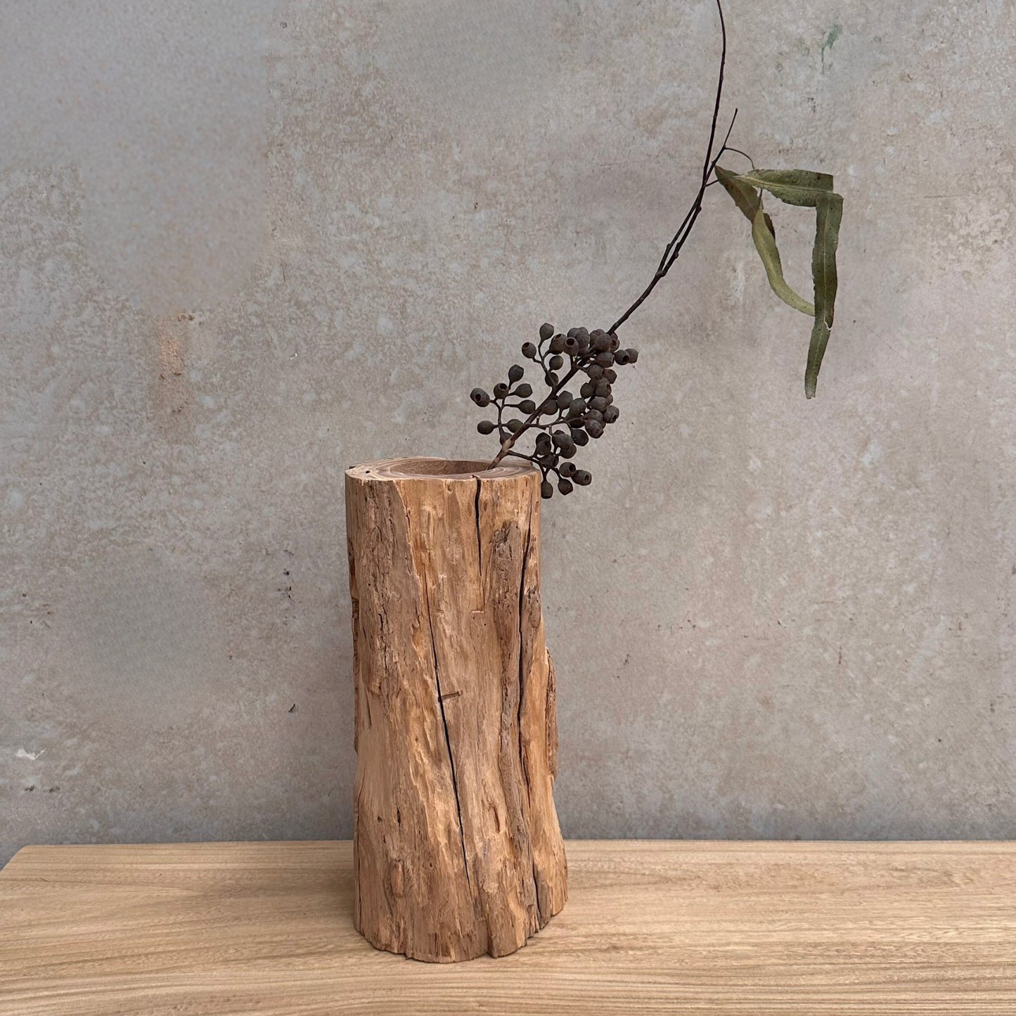 Elm Root Vase