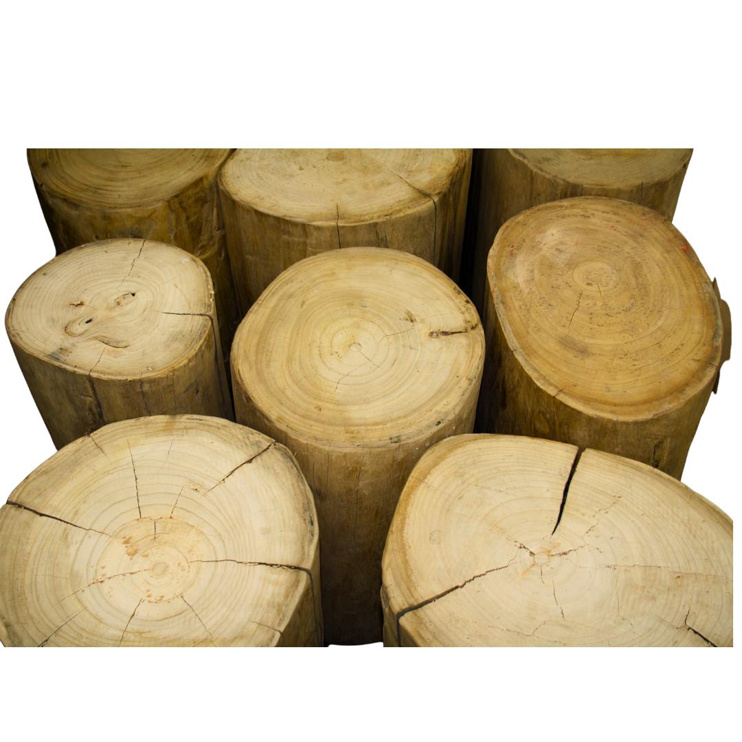 Recycled Elm Log_Asian Tide_Wholesale Furniture Supplier